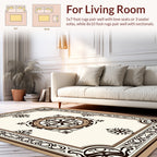 Ornate Central Medallion Filigree Frame Rug