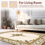Classic Floral Scroll Frame Rug
