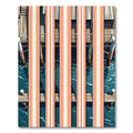 Coastal Coral Striped Dock Rug