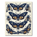 Celestial Gold Moon Butterfly Night Rug