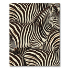 Bold Black White Zebra Herd Rug