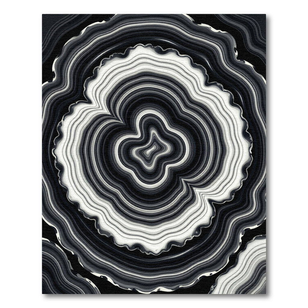 Monochrome Organic Ripple Abstract Swirl Rug