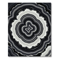 Monochrome Organic Ripple Abstract Swirl Rug