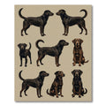 Classic Black Labrador Retriever Grid Rug