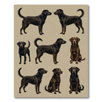 Classic Black Labrador Retriever Grid Rug
