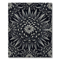 Monochrome Radiant Floral Burst Rug