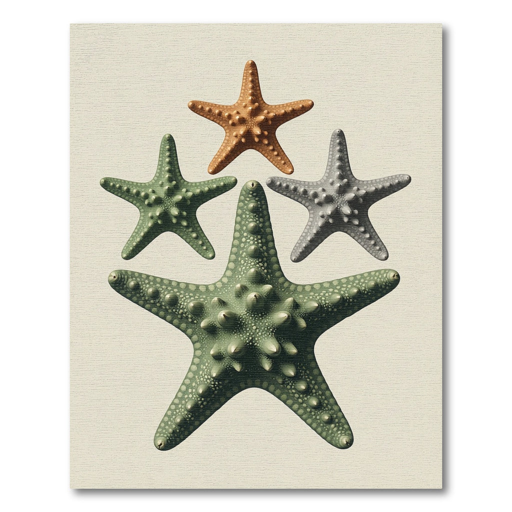 Coastal Starfish Arrangement Earth Tone Art Rug