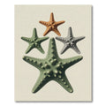 Coastal Starfish Arrangement Earth Tone Art Rug