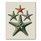 Coastal Starfish Arrangement Earth Tone Art Rug