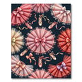 Pink Tulle Tutu Ballet Slipper Delight Rug