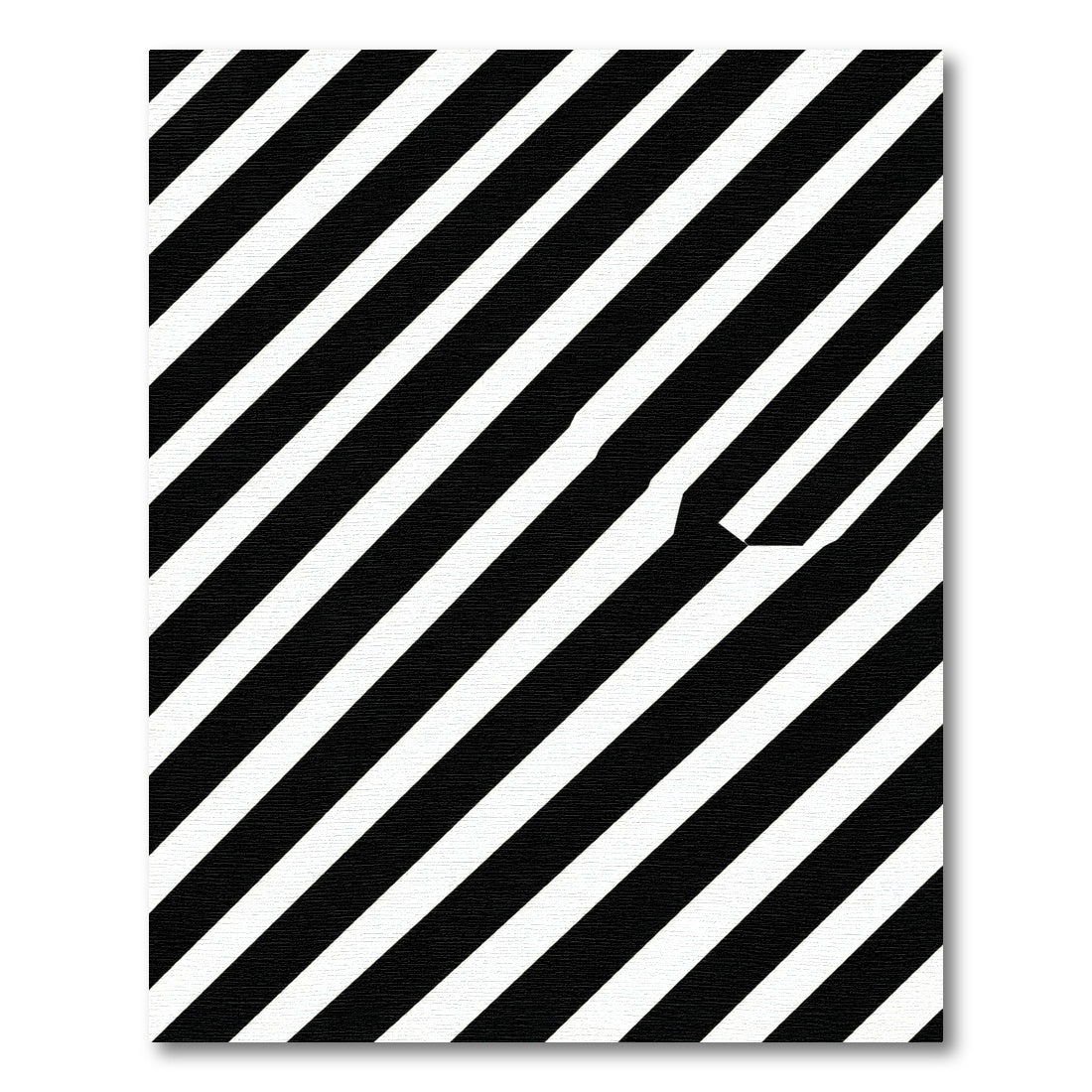 Bold Black White Diagonal Stripe Rug