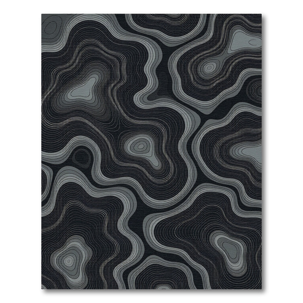 Dark Gray Contour Topographical Waves Rug