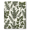 Dark Green Herb Sprig Cream Collage Rug