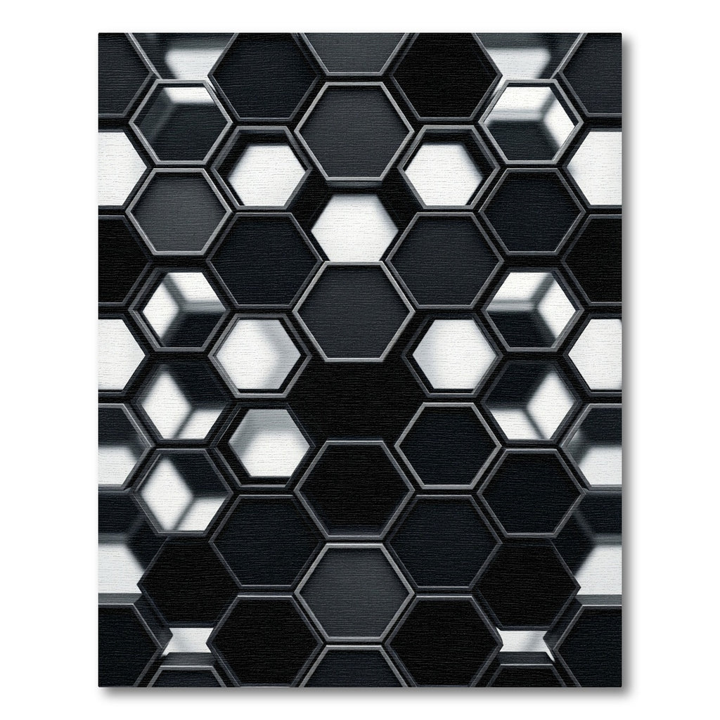Black White Hexagon Interlocking Art Rug