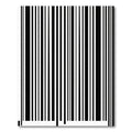 Minimalist Vertical Black and White Stripe Rug