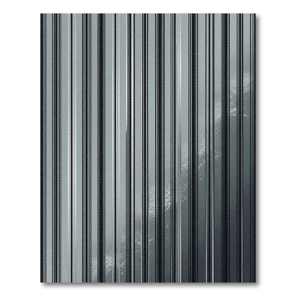 Sophisticated Charcoal Monochromatic Vertical Stripe Rug