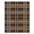 Earthy Brown Cream Plaid Lines Rug