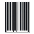 Monochrome Vertical Bar Code Rug