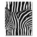 Black White Zebra Stripes Wildlife Rug