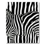 Black White Zebra Stripes Wildlife Rug