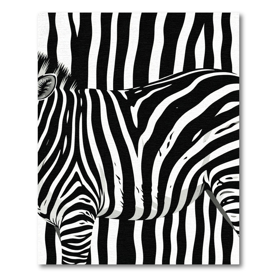Black White Zebra Stripes Wildlife Rug
