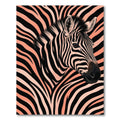 Bold Salmon and Black Zebra Stripe Rug