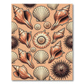Coastal Seashell Beach Comber Earthy Accent Rug