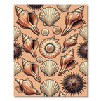 Coastal Seashell Beach Comber Earthy Accent Rug