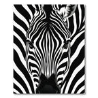 Bold Monochrome Zebra Stripe Illustration Rug