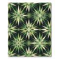 Mid-Century Modern Sage Starburst Geometric Rug
