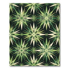 Mid-Century Modern Sage Starburst Geometric Rug
