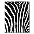 Bold Monochrome Zebra Striped Rug
