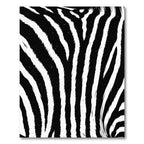 Bold Monochrome Zebra Striped Rug