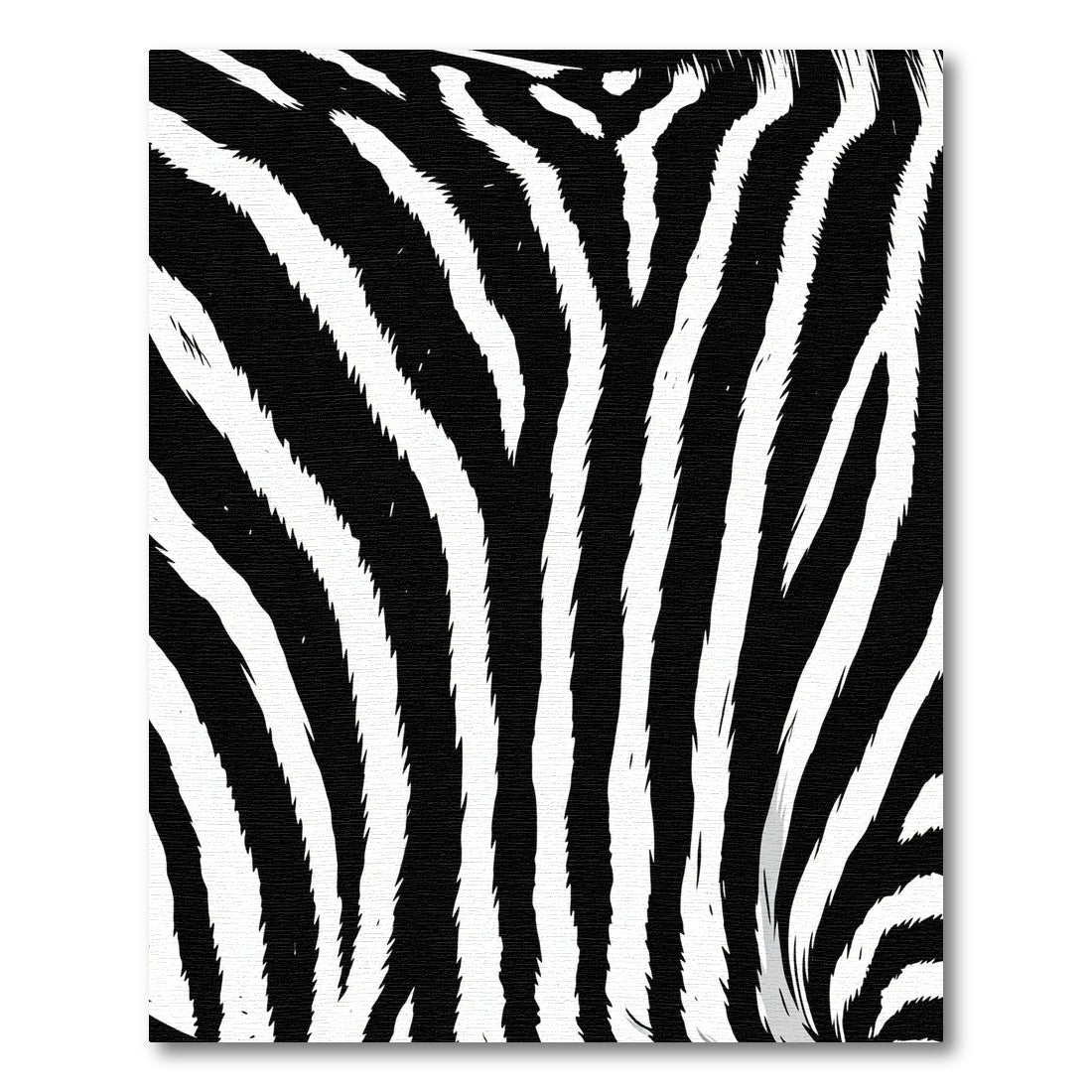 Bold Monochrome Zebra Striped Rug