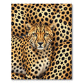 Golden Leopard Spot Animal Print Rug