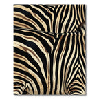 Bold Black Beige Zebra Stripes Rug