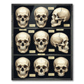 Anatomical Human Skull Grid Ivory Black Rug