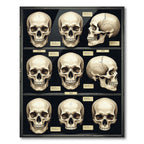 Anatomical Human Skull Grid Ivory Black Rug