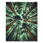 Tall Evergreen Forest Canopy View Rug